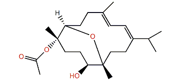 Acetyl ehrenberoxide B